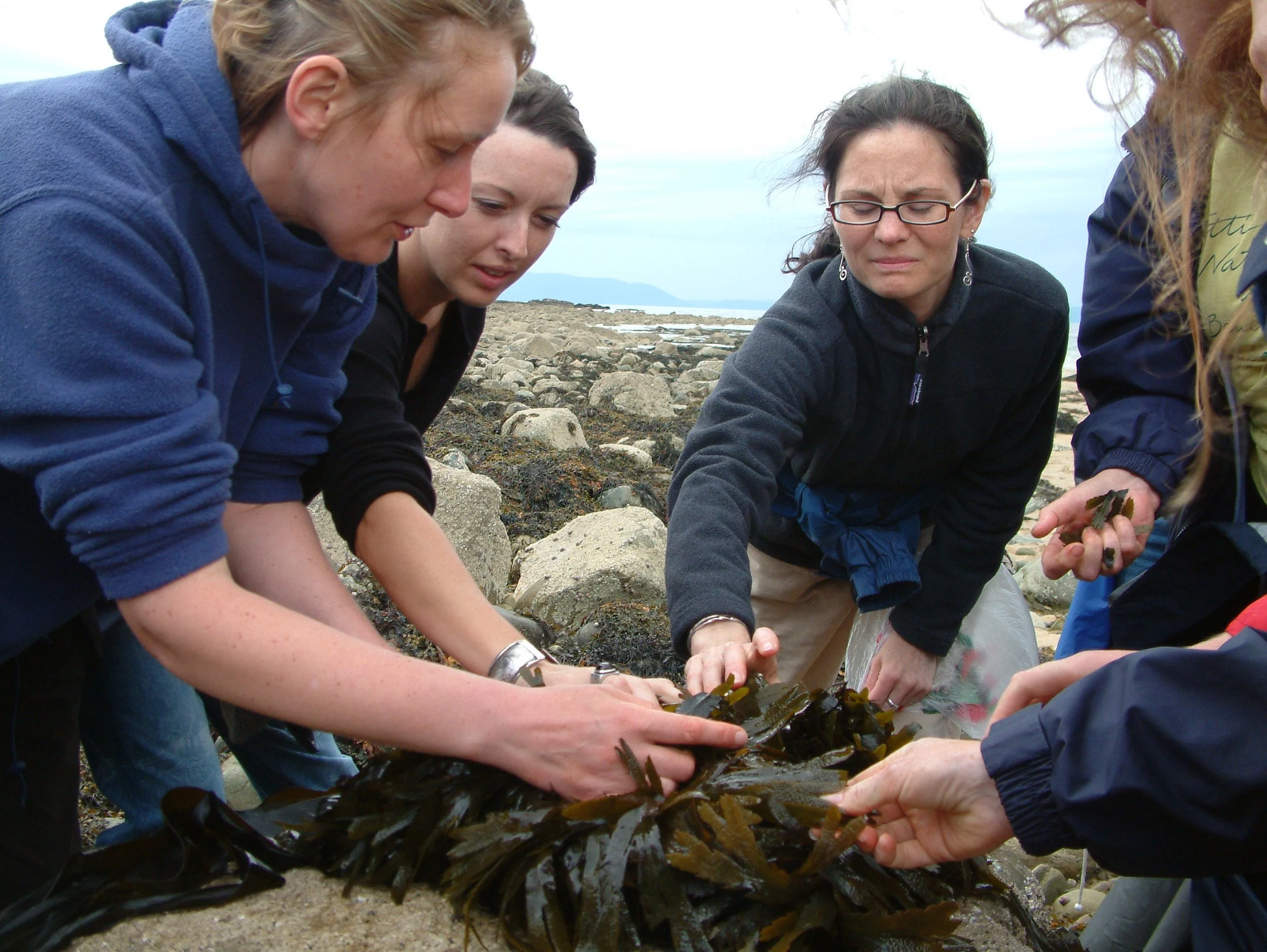 Dr. Prannie Rhatigan and the revival of seaweed as a superfood